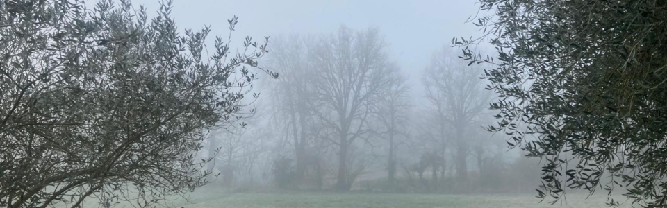 d51b3e0e-7a06-4bf7-a636-e49f2c5ece07